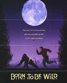 威猩闯天涯在线观看,勇闯未知世界的奇幻冒险之旅