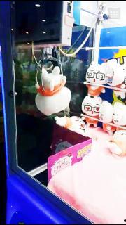 最新爆料蛇叔视频播放在线观看,在线观看揭秘惊人真相！